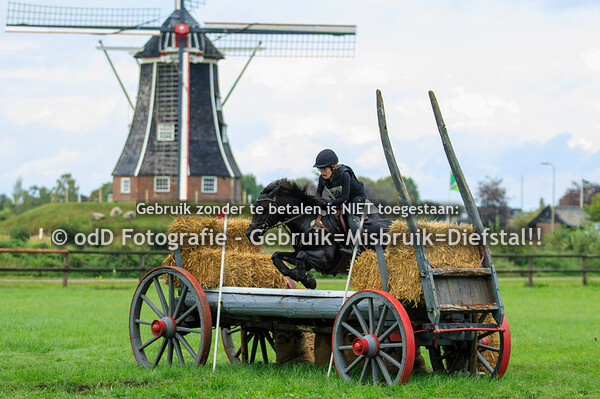 Achterhoeks Hippisch Festijn Varsseveld 23-09-23