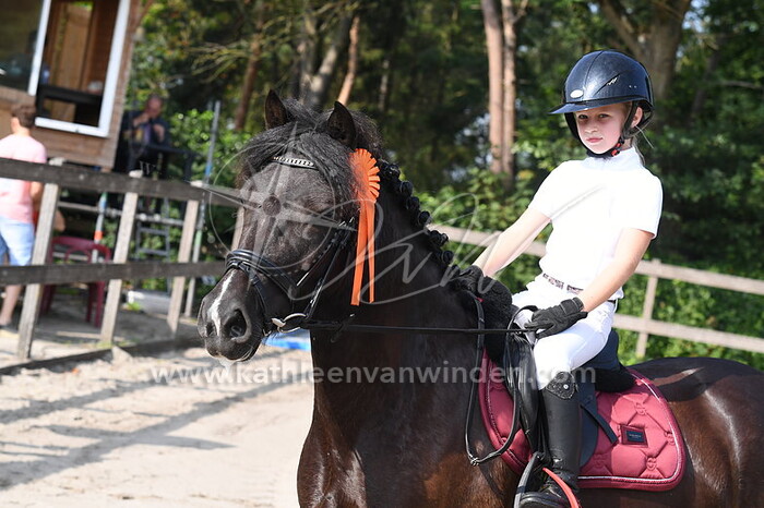 Klasse BB pony's barrage