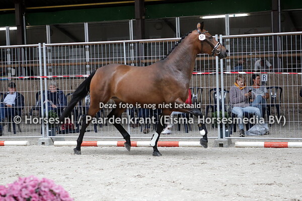 57 Mabel (Dettori x Enjoy v. Lord Leatherdale)