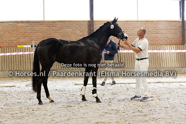 6 Sweetest Thing (Next Romancier x Kaeyla v. Ferguson)