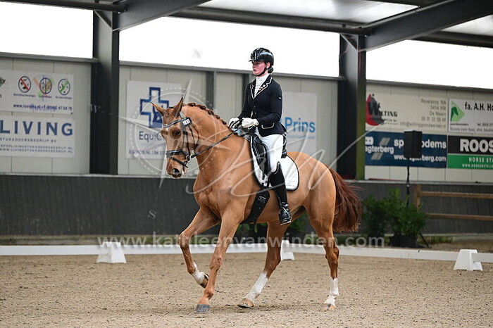 Cheyenne van Kippersluis - New Adventure