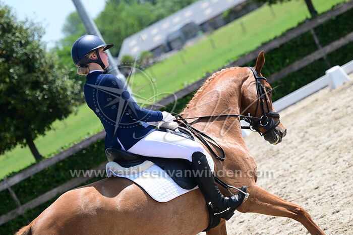 Naomi Swaab - Liberty