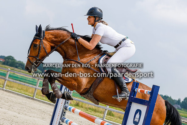 Paardensport