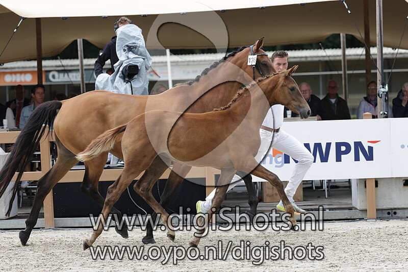 Viva Trichta van de Westen v. McLaren