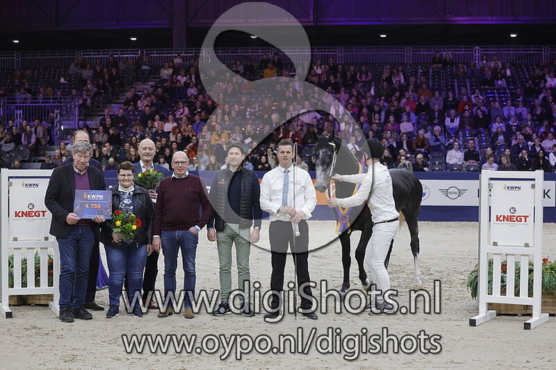 Palido van Altrido v. Idol 717