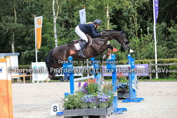 368 Harm v Spartacus