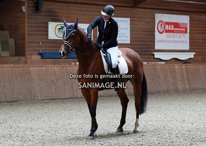 PV Midland Dressuur 08-10-2023 Paarden B