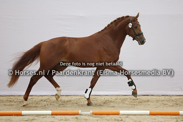 334 (Easy Game x Bordeaux)