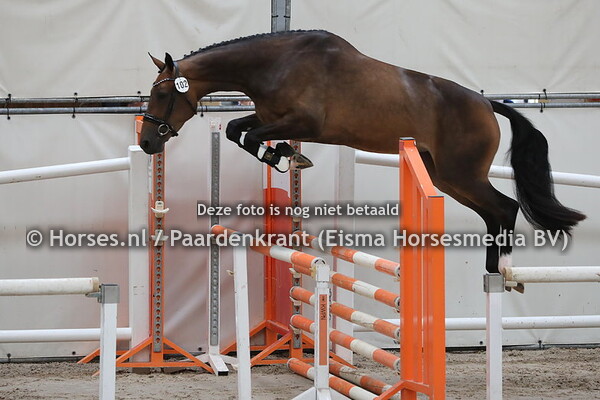 102 La Luna (Hotspot x Heart of Flame v. Namelus R) 1