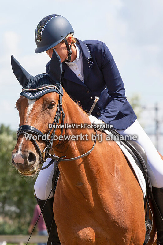Alma Schippers - Harle Quin