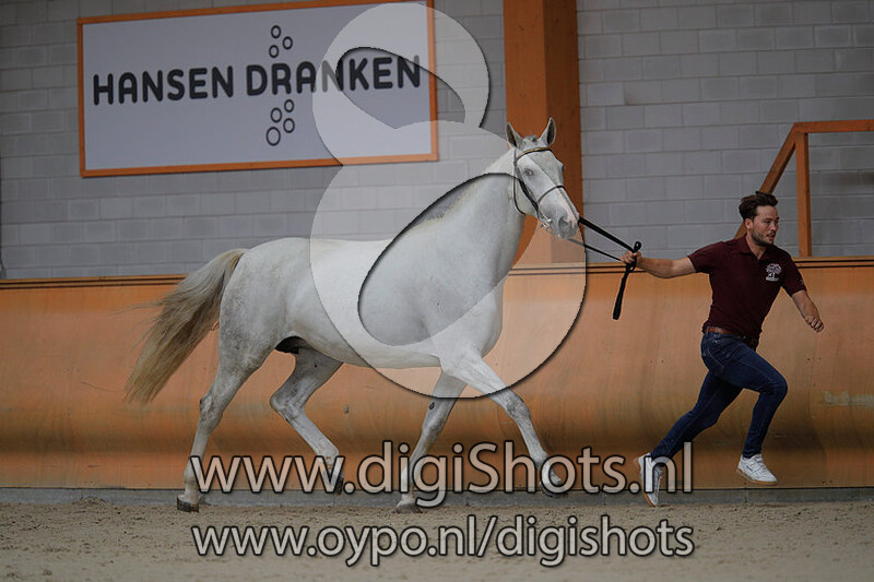 Oceandette S v. Cicero