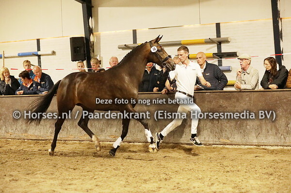 46 Personality (Lennox US x Entebbe v. Ufo)