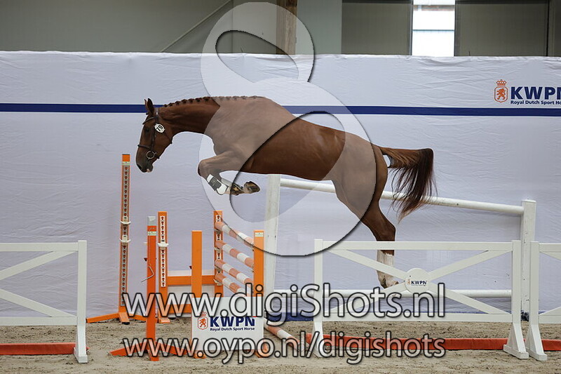 Sabrina VM v. Lambada Shake AG