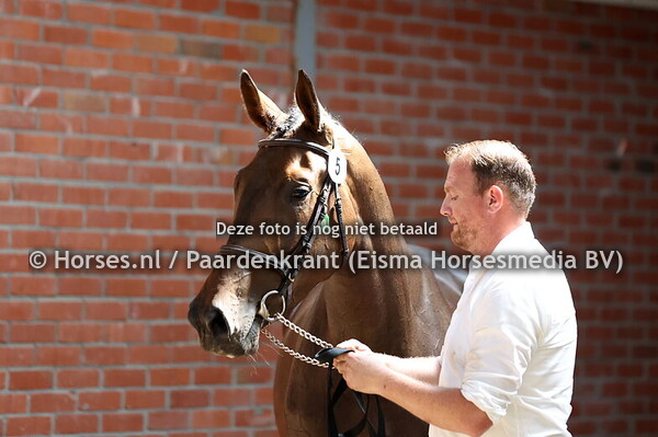 5 So Nice B (poker de Mariposa x Nice B v. Grandorado)