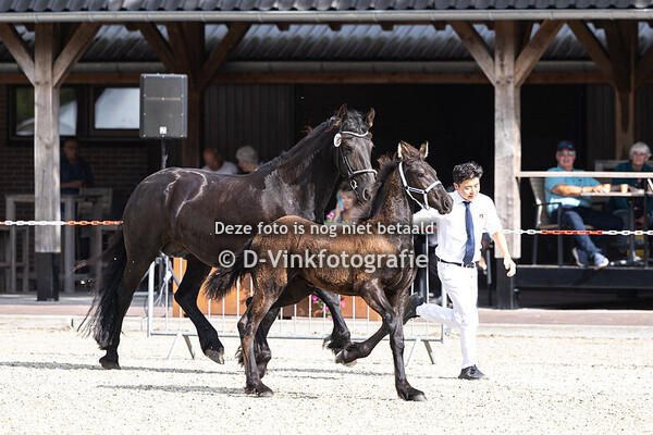 38. Dina van Stal Wallink