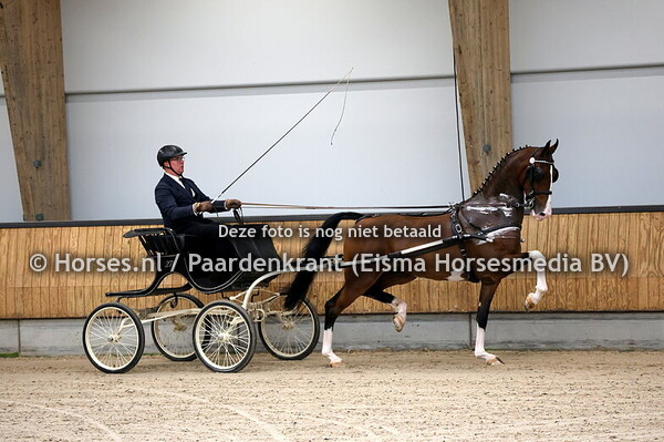 26-10-24 Tuigpaarden IBOP Ermelo