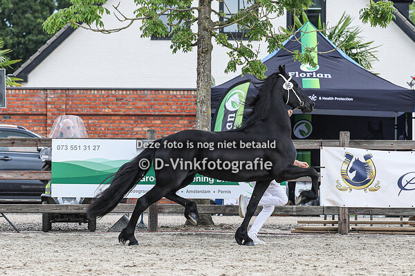 96. Ulke fan 't Hoolven