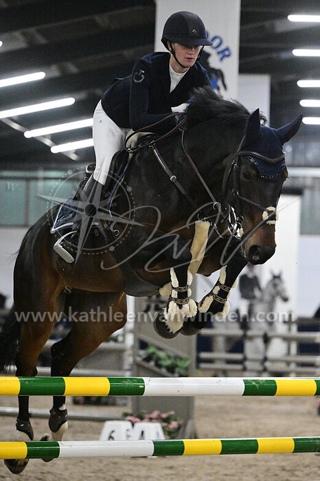 Fiene Kanters - King van de Wolfsakker