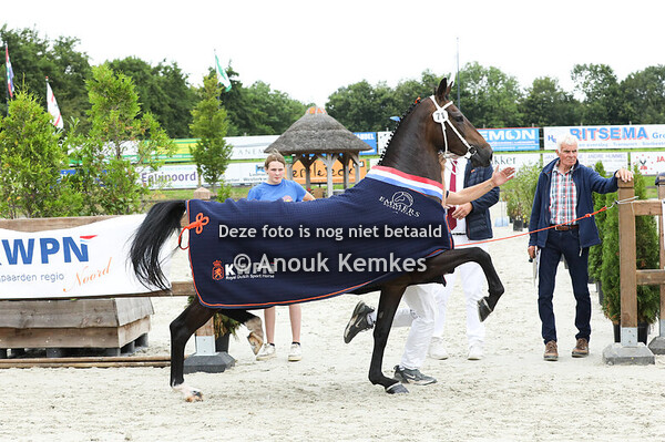 71 - Radora ( Cizandro x Ditisem )