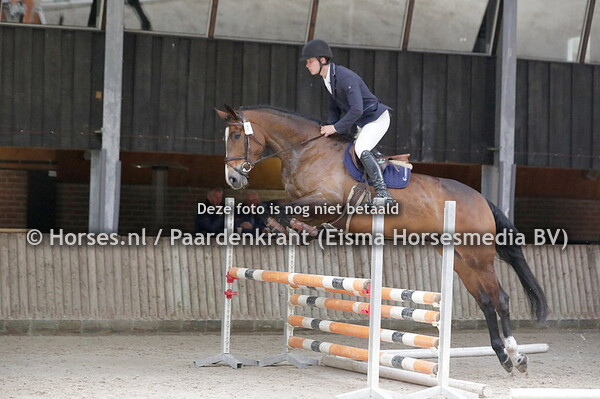 27 Kilbeggan (Golden Dream x Zivona v. Elmshorn) Niels Jonkers