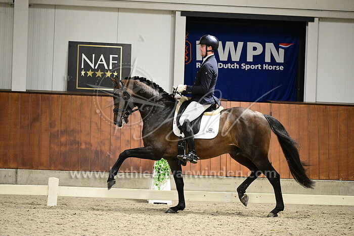 Lennart Bos - Ravelon