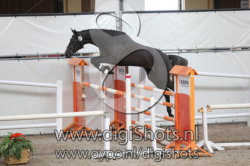 Karola v. Great Blue