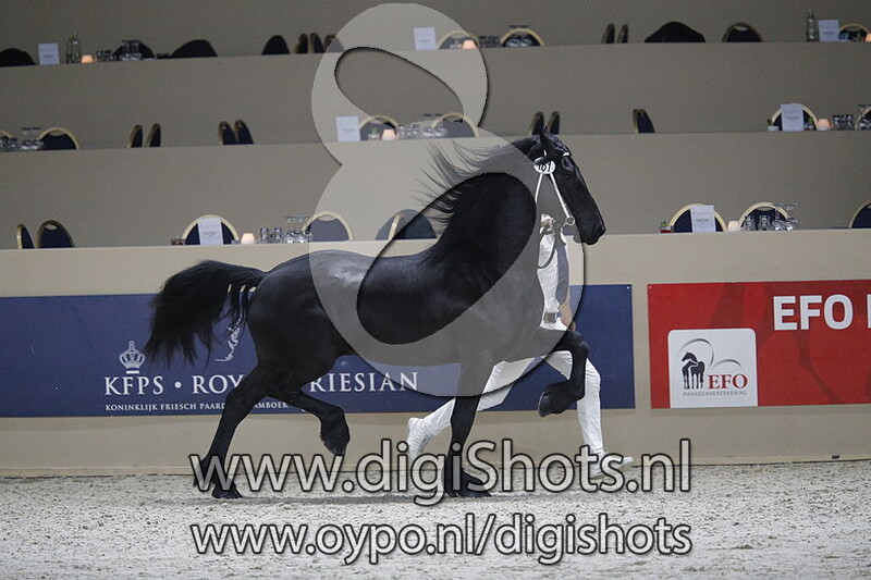 Daan fan e Middelsee