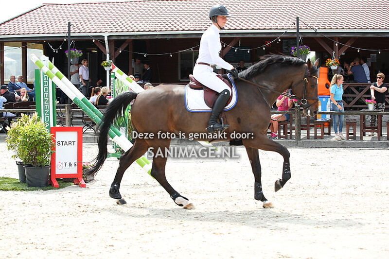 Jumping Tolboom 31-05-2025 Springen Paarden 135 cm