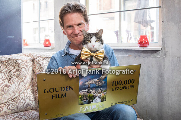 De Wilde Stad (Gouden Film)