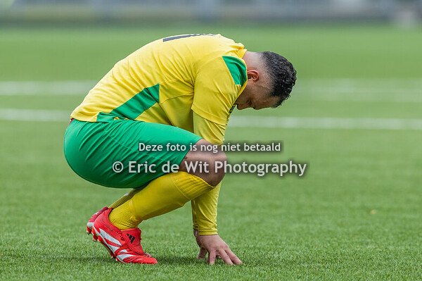 2025 05 24 PGS/Vogel - DWO