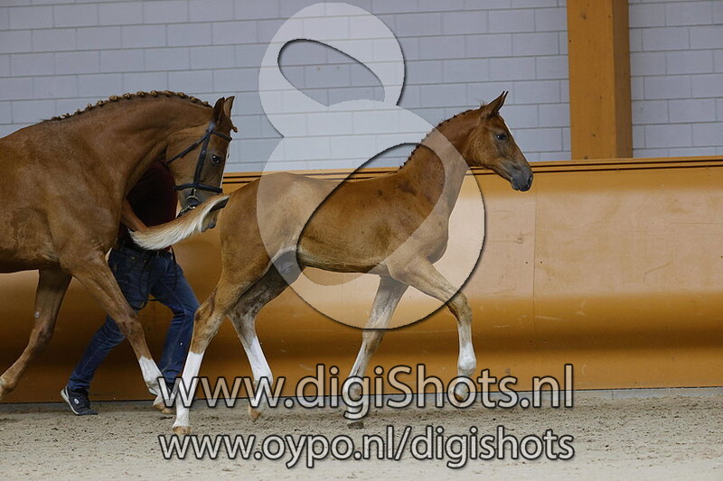 Passe Partout v. El Barone 111 Z