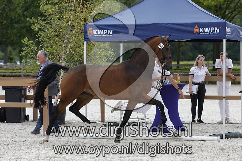 Prelana T v. Le Formidable