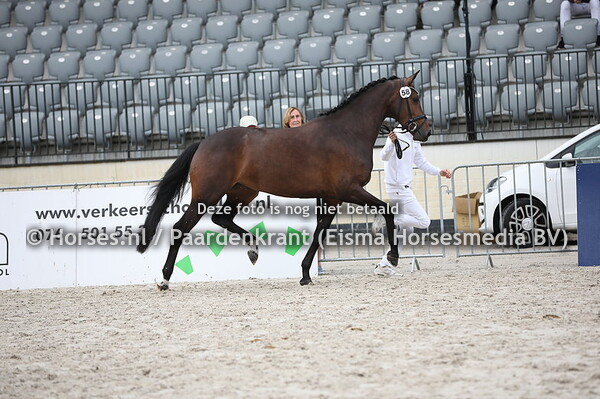 58 Kordellia-E (Franklin x Otivoli v. Jazz)