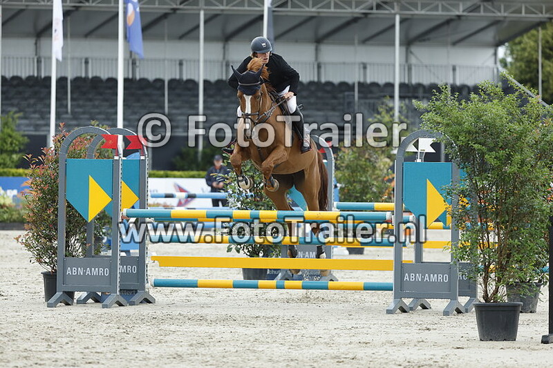 roderick van den engh