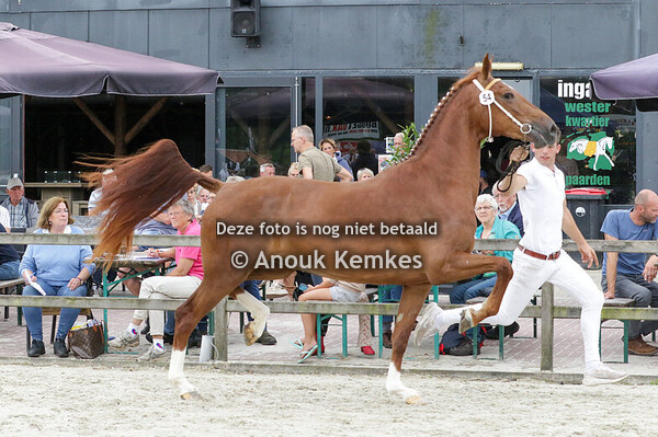 054 - RENDELINA MAXIMIANO I&S X MANNO J.P.C. ERMENS, OPLOO