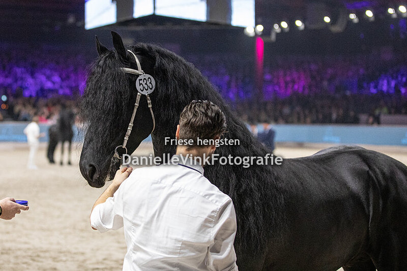 Hengstenkeuring 2024 Jimte 533