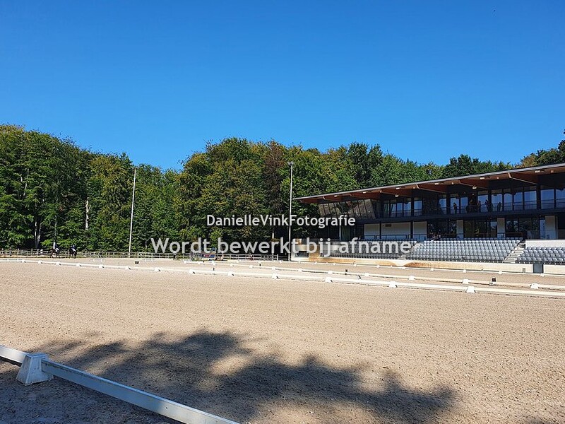 Regiokampioenschappen Rotterdam 2020