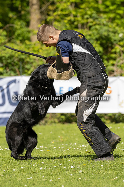 Lotnr 14 Bertus Middelkoop
