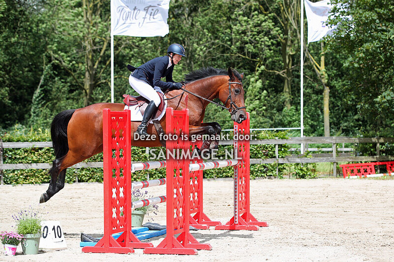 Zilfia's Hoeve Springen Paarden 06-07-2024 110 cm