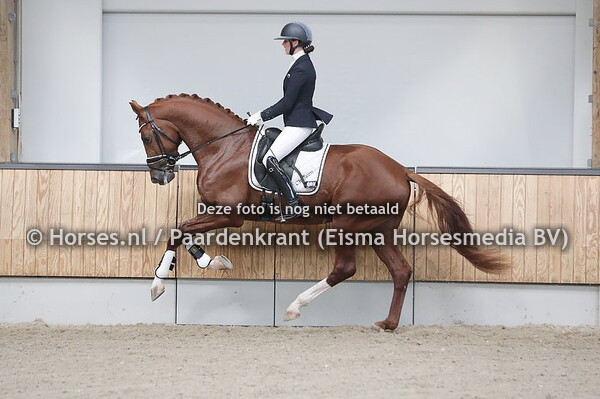 336 Oké HT (Dream Boy x Fioretta v. Uphill) (1)