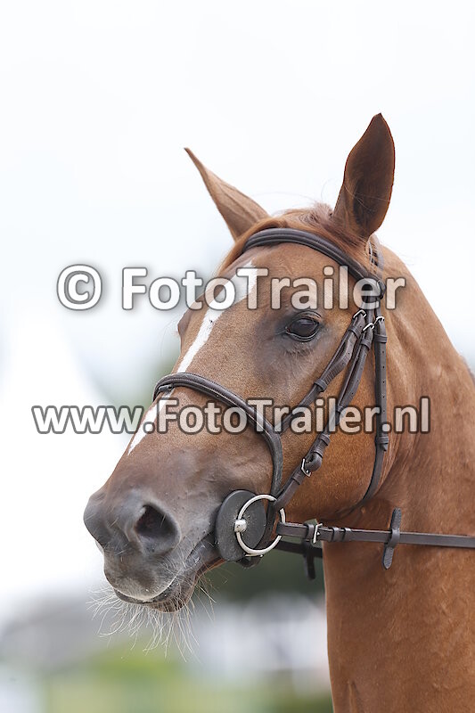 S5 - Small Tour 1.25m - Against the clock