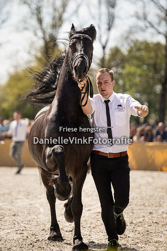 Hengstenshow Lunteren 18-04-2022 Willem 508