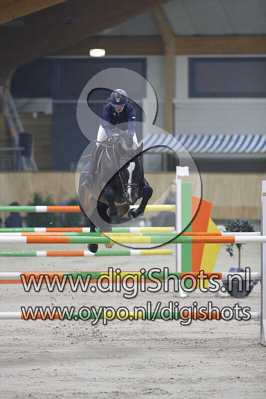 Cash Maker vd Laarseheide Z