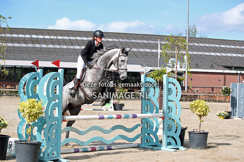 Zilfia's Hoeve Springen paarden 10-04-2024 80/90 cm