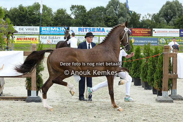 40 - Trendoline ( Innovatief x Indiana ) 