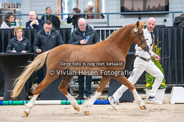 1e bezichtiging Sectie B