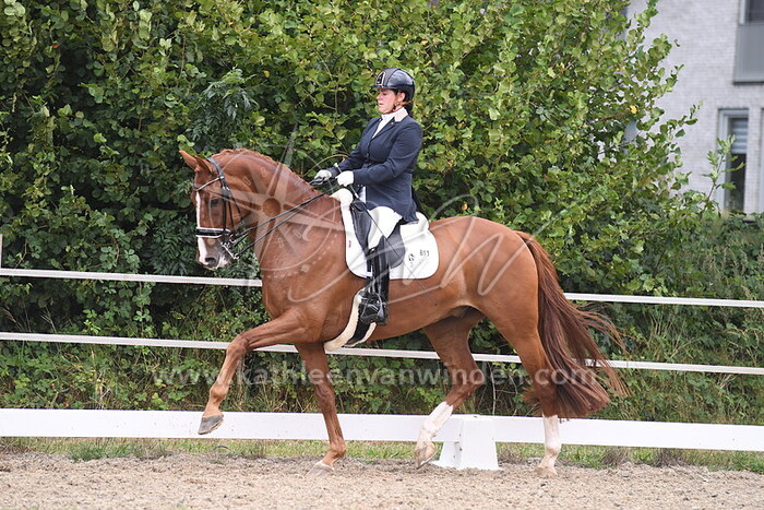 Para Dressuur Grade 4 tm 5