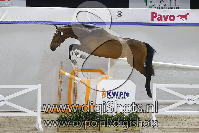 Sauvignon di Fer v. Jenson van 't Meulenhof