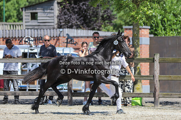 Rubriek 3 entermerries