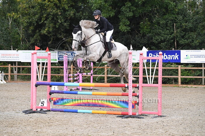 Klasse BB 90 cm paarden